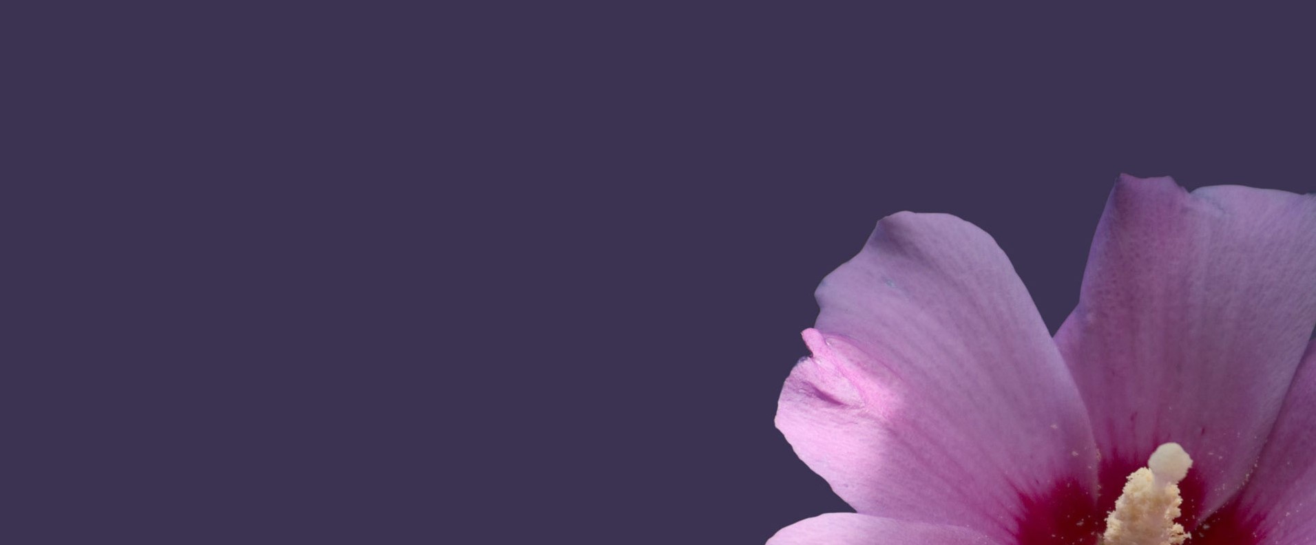 Ladies Bible Study and Life Group (PSC)